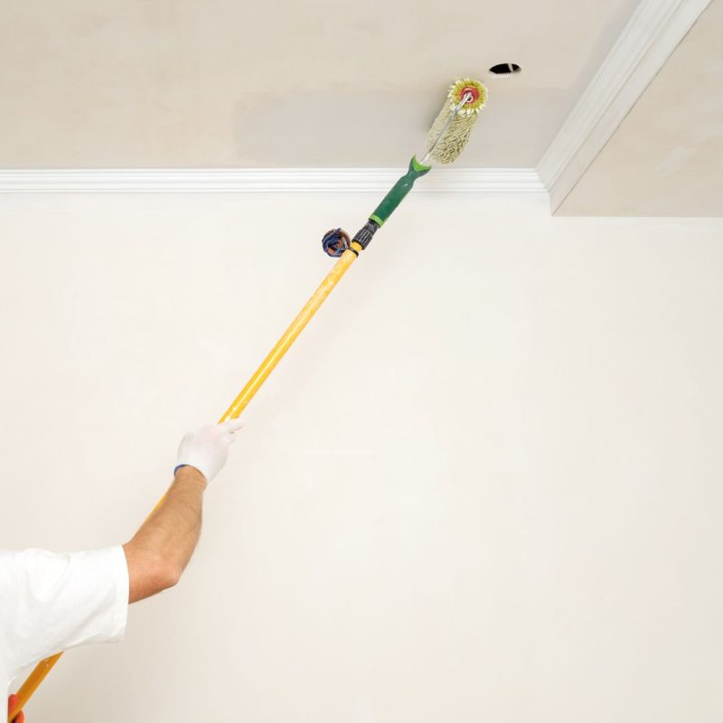 Ceiling Painting: 7 Tips-Loypochrom