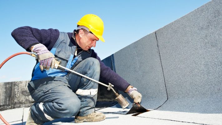 Roof insulation for moisture-Loypochrom